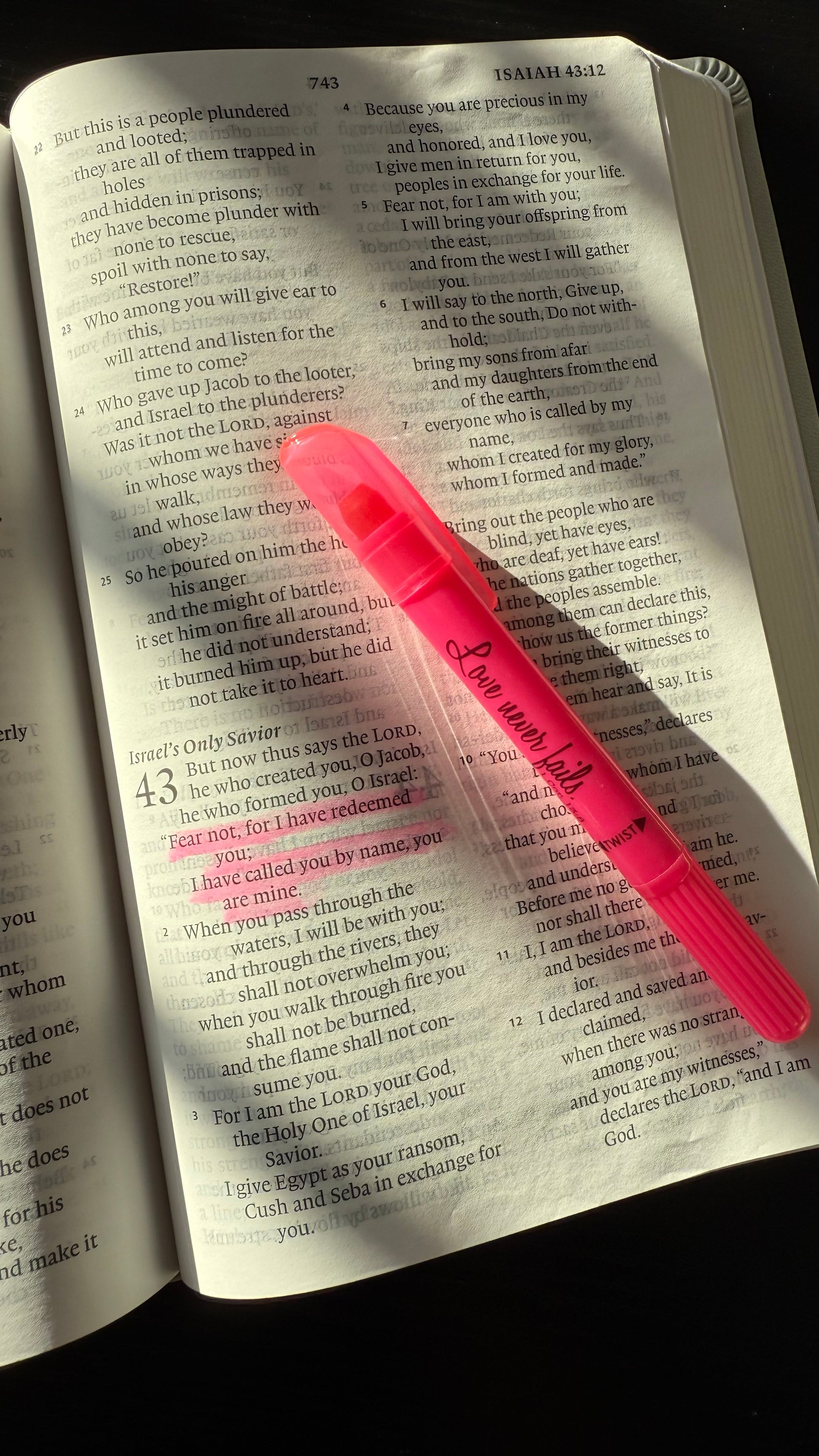 Pink highlighter with bible verse 